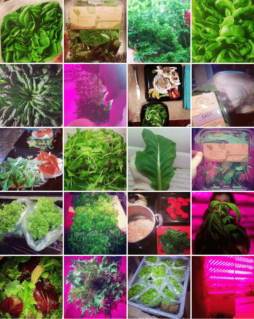 Screen Shot    at